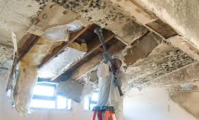 Asbestos and Lead Testing During Mold Inspection in Woodbine, GA